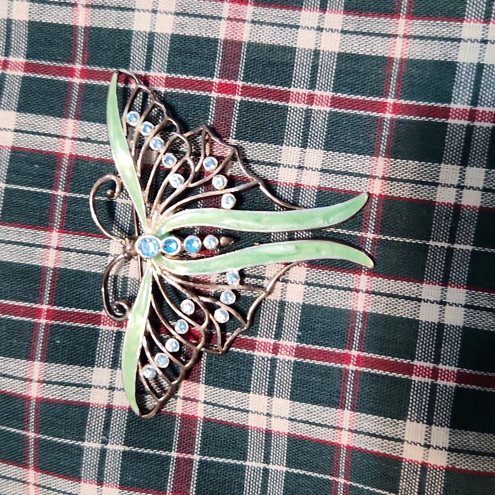 Luna Moth Brooche